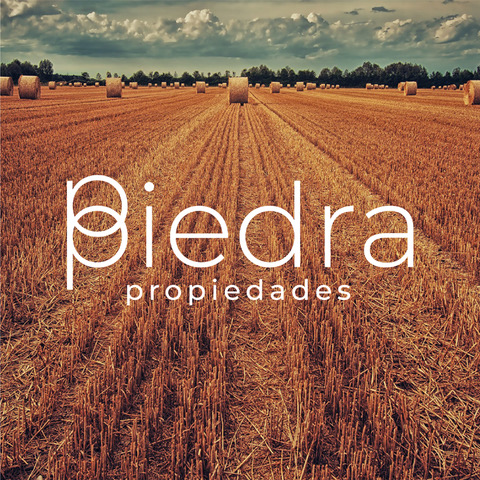 Piedra Propiedades Galería
